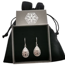 Load image into Gallery viewer, Dropper CZ earrings in sterling silver - Tamar and Talya
